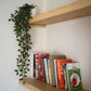 Solid Wood Alcove Floating Shelves - 160 cm by 40 cm