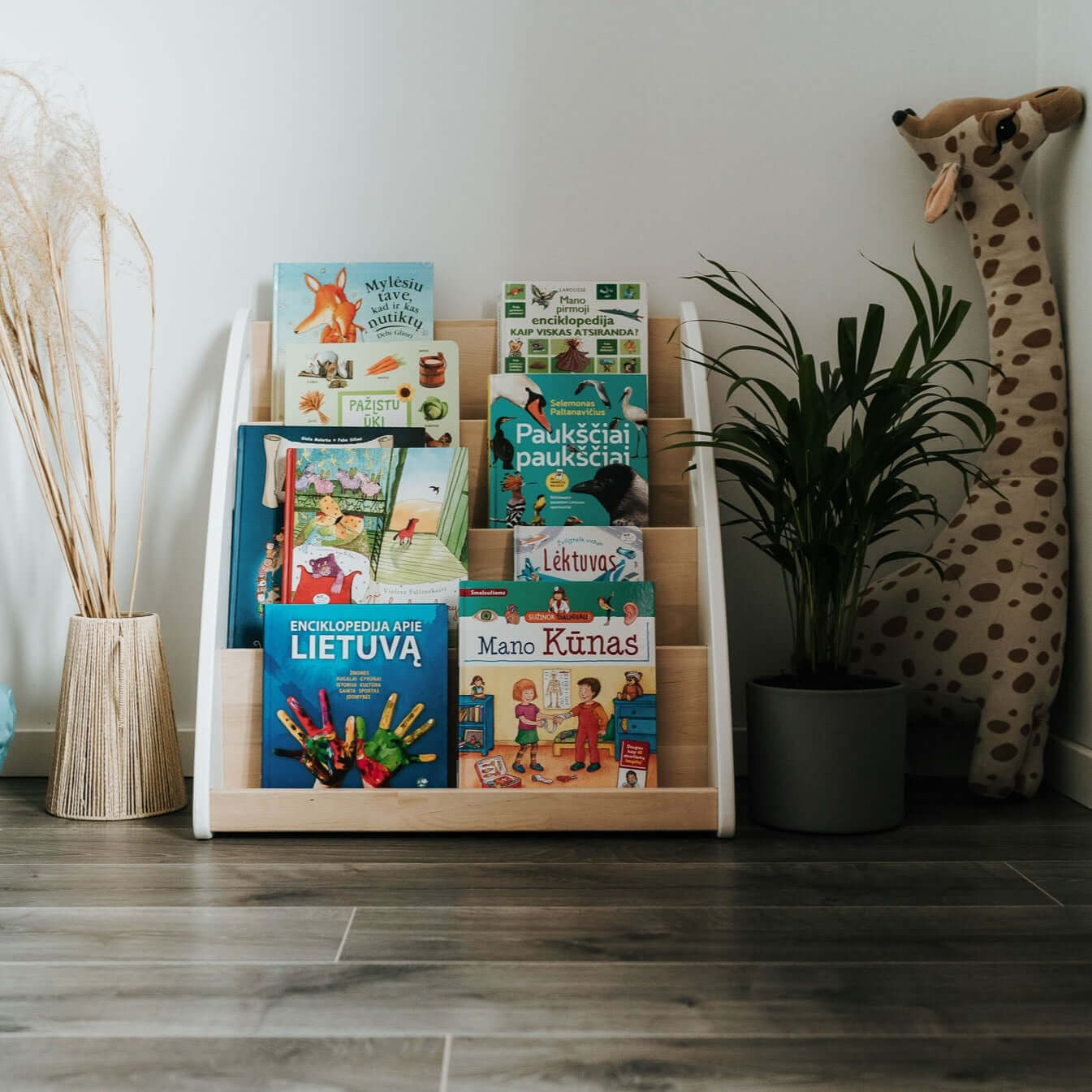 Kids Montessori Bookshelf
