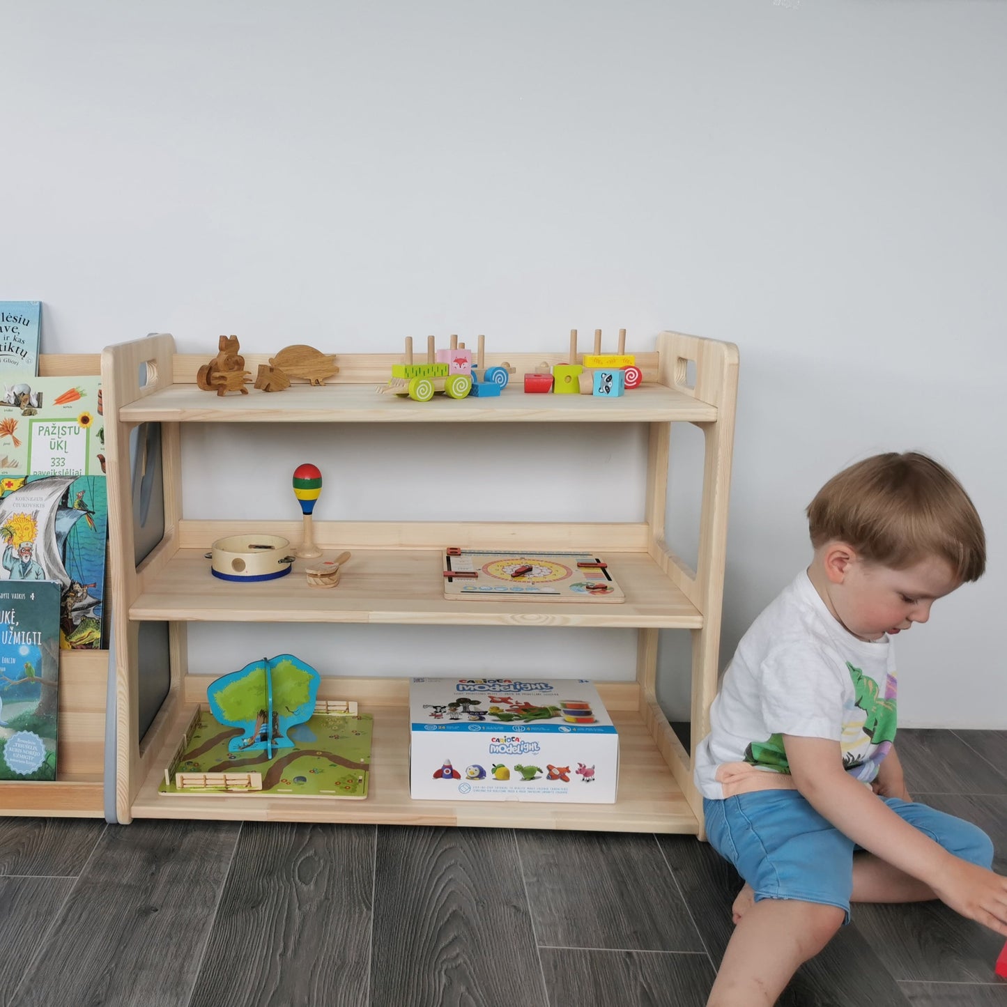 Montessori Toy Storage